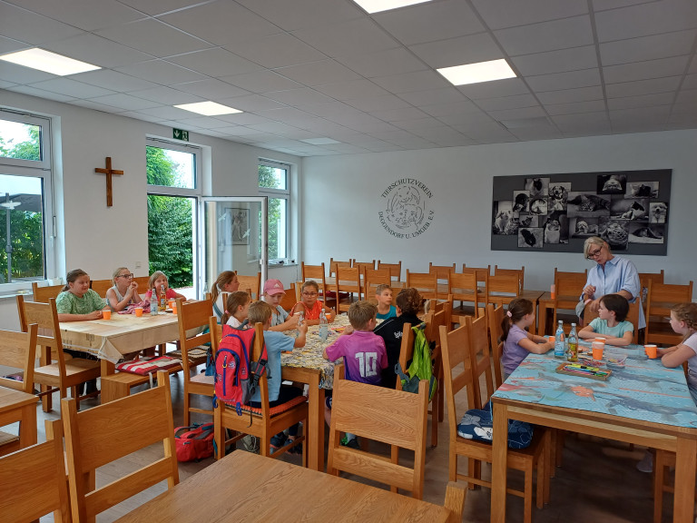 Tierheim 2025-1